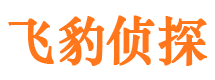 根河市侦探调查公司